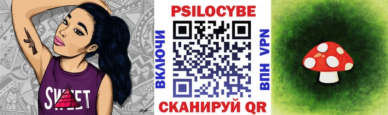 сколько стоит  Ковдор  Псилоцибиновые грибы мухоморы 
